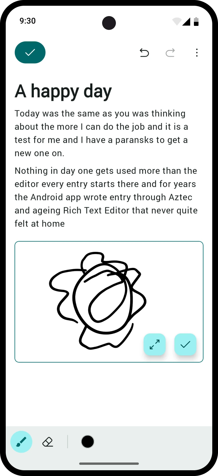 Drawing a sketch into the entry
